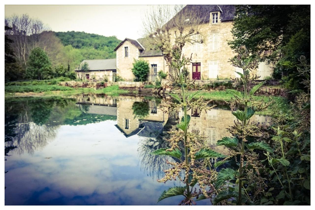 Saint-Amand-de-Coly O Reve De Gabriel Bed & Breakfast エクステリア 写真