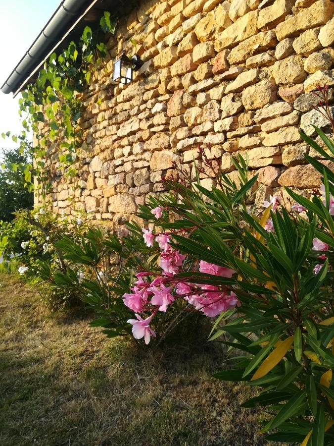 Saint-Amand-de-Coly O Reve De Gabriel Bed & Breakfast エクステリア 写真