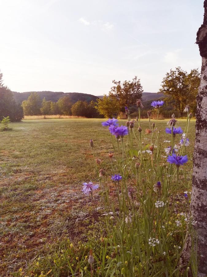 Saint-Amand-de-Coly O Reve De Gabriel Bed & Breakfast エクステリア 写真