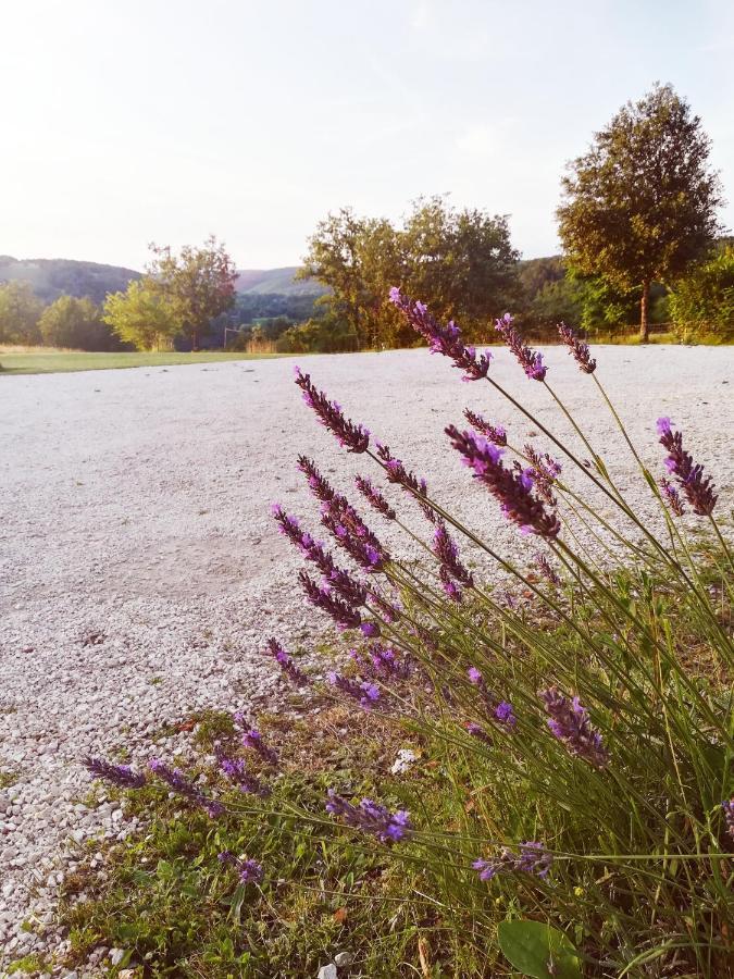Saint-Amand-de-Coly O Reve De Gabriel Bed & Breakfast エクステリア 写真